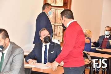 Pleno ordinario de diciembre de 2020/Francisco Javier Santana.